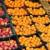 ۶۰۰ تن میوه برای نوروز در بازار خراسان شمالی توزیع می‌شود