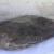 ۴۶۰ کیلوگرم تریاک در یزد کشف شد