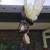 تصاویری از طوطی گرفتار شده در بدن مار ۳ متری