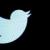 توئیتر حساب جعلی نویسنده مشهور را تایید و بعد رد کرد
