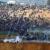 سه جوان فلسطینی در تظاهرات مرزی در شرق نوارغزه زخمی شدند
