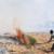 آتش در جنگل‌های کردکوی