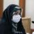 حسینی یکتا: طب سنتی ایرانی مخالف واکسیناسیون نیست