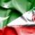 آمادگی ایران برای سرمایه گذاری در صنعت لوازم خانگی پاکستان