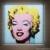 پرتره مریلین مونرو، گران‌ترین اثر هنری قرن بیستم