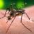 نانوزیست‌فناوری از بیماری‌هایی مانند دانگ و مالاریا جلوگیری می‌کند