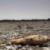 خروشان‌ترین رود ایران هم خشکید