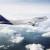 واکنش سازمان هواپیمایی به ادعای پیدا شدن جسد در پرواز لوفتهانزا