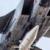 عکس | عجیب ترین موشک هایپر سونیک دنیا