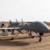 درخواست سنا از دولت بایدن برای ارسال پهپادهای MQ-۱C به کی‌یف