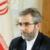 باقری کنی: روابط ایران با همسایگان در مسیر توسعه و تحکیم است