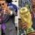 رشوه ۱۰۰هزار دلاری برای عکس گرفتن با مسی و کاپ قهرمانی جام جهانی/عکس