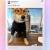 عکس | سگ ایلان ماسک مدیرعامل توییتر شد