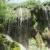 آبشار آسیاب در دل حیات وحش کیامکی