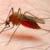 افزایش قابل توجه ابتلا به مالاریا در هرمزگان