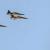 هلاکت ۲ سرکرده داعش در حمله جنگنده‌های اف-۱۶ عراق
