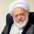 مصباحی مقدم: مجلس نمی‌تواند برای مجمع تشخیص قانون وضع کند