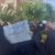 تصاویر تجمع اعتراضی مقابل سفارت سوئد در تهران | شعارهای معترضان چه بود؟