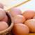 قیمت تخم‌مرغ همچنان کمتر از قیمت مصوب