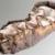 اتریش، کشف کفش کودک دو هزار ساله