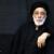 اظهار تأسف هادی خامنه‌ای از «برخورد بی‌محابا» با نهاد علمی کشور/ مگر الگوی شما رژیم شاه و غرب است؟