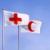 بیانیه مشترک کمیته و فدراسیون صلیب سرخ و هلال‌احمر صادر شد