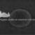 کوچکترین سبیل جهان روی نوک سوزن/ عکس