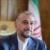 امیرعبداللهیان: به تلاش‌ها برای توقف نسل‌کشی صهونیست‌ها ادامه می‌دهیم