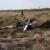 خلبان حادثه سقوط هواپیمای آموزشی در کازرون سالم است
