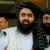 وزیر خارجه طالبان : پایین کشیدن تابلوها به زبان فارسی در افغانستان، کار اشخاص مغرض است