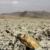 تداوم نابودی محیط زیست ایران در سایه بی‌تدبیری جمهوری اسلامی؛ تالاب‌های پریشان و بختگان کاملاً خشک شدند