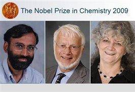 نوبل شیمی 2009 برای کشف اسرار مولکولی حیات