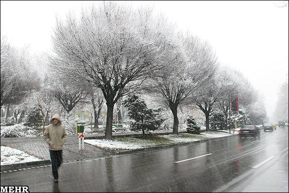 بارش برف در تهران(تصویری)