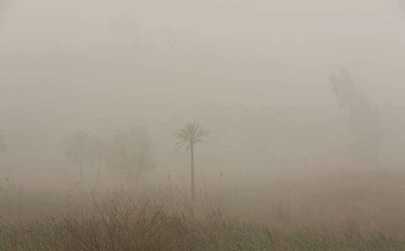 عکس / گرد و غبار شدید در شهرستان مرزی قصرشیرین