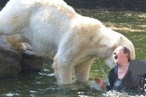 حرکت عجیب زن ۳۲ساله درپی حمله خرس‌های قطبی +عکس