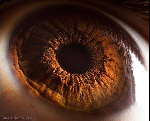 "چشم" از نمای نزدیک (عکس)