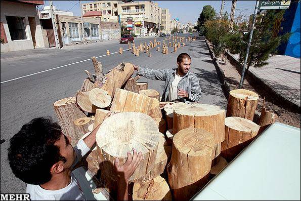 گزارش تصویری / اعتراض به قطع درختان در کرمان