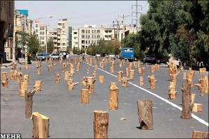 گزارش تصویری از اعتراض به قطع درختان در کرمان