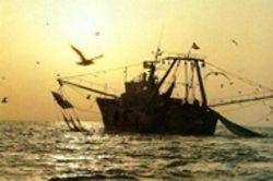 جشن ثبت جهانی دریانوردی خلیج فارس برگزار می‌شود