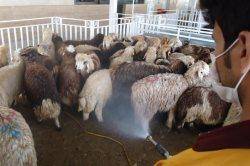 بیش از یك هزار بسیجی برای مقابله با بیماری تب كنگو در استان اصفهان وارد میدان شدند