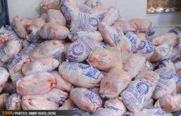 فروش مرغ به نرخ دولتی با ارائه کارت ملی در تهران