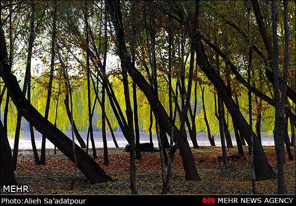 طبیعت پائیزی در پارک جنگلی ناژوان/تصاویر