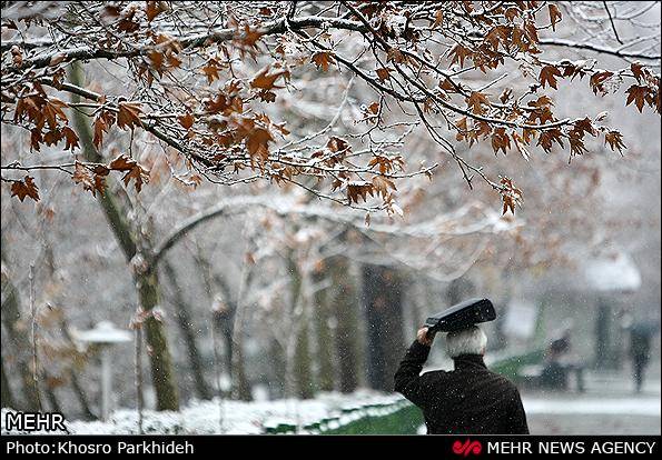گزارش تصویری / بارش برف در تهران