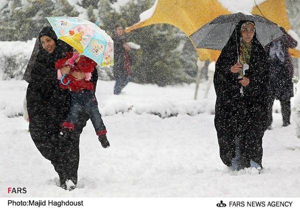شور و شوق تهرانی ها ازبارش برف/تصاویر