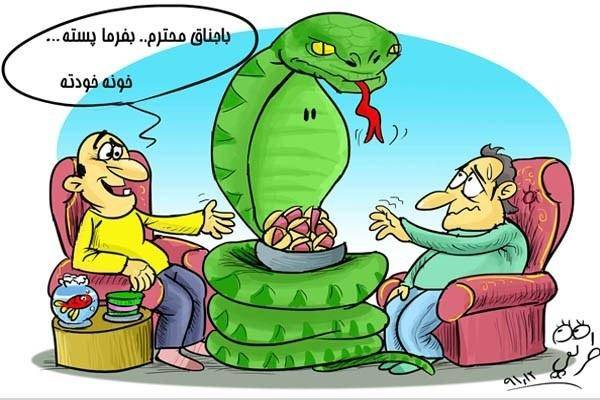 کارتون/ محافظ پسته...!