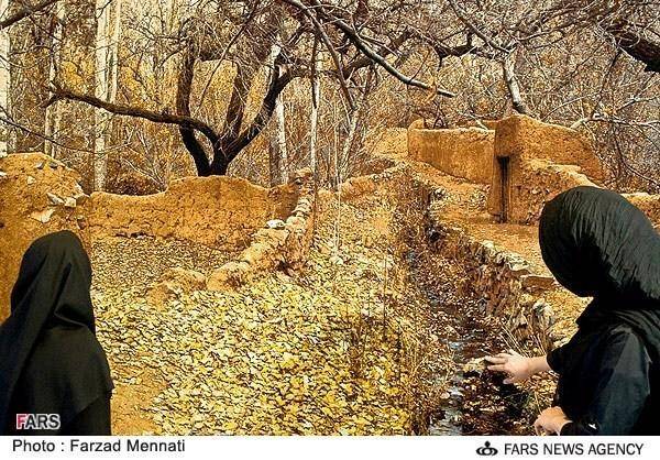 طبیعی ترین فرش جهان (عکس)