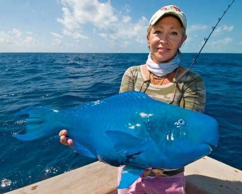 آبی ترین ماهی دنیا /عکس
