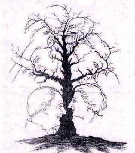 معمای درختی/عکس