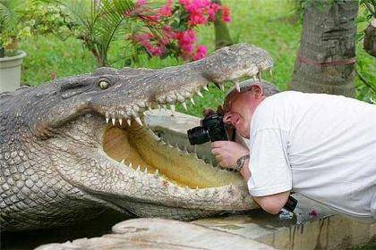 عکاسی ،خطرناک ترین شغل دنیا (عکس)