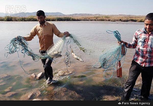 ماهیگیری در رودخانه ارس/تصاویر